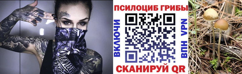 Купить  Звенигород  Галлюциногенные грибы ЛСД 