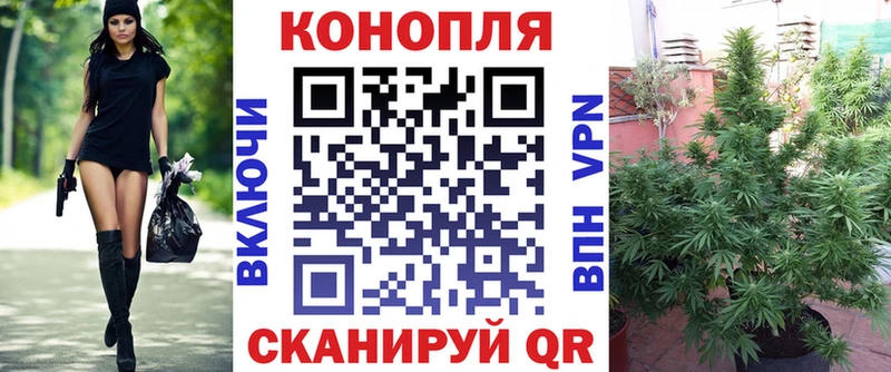 Купить где  Звенигород  Шишки марихуана план 